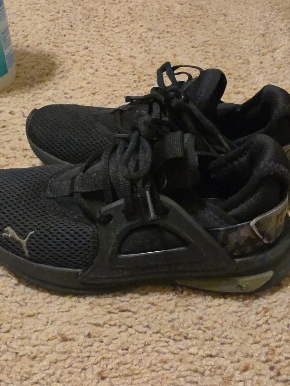 Puma as can